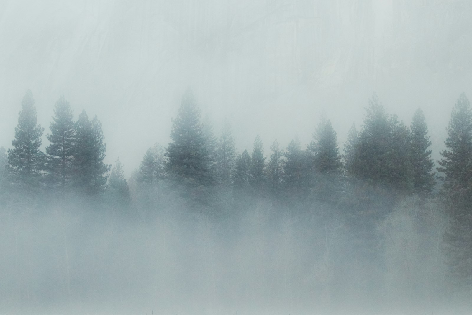 Twin Peaks - el sueño que reescribió el lenguaje de la televisión